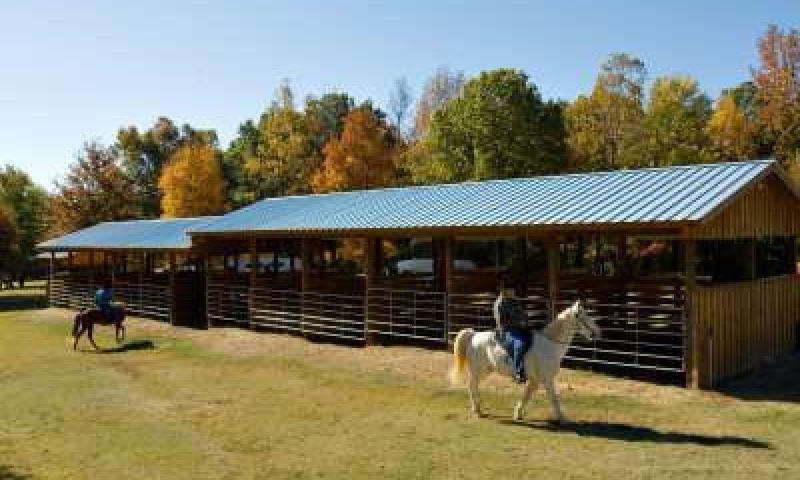 Village_Creek_Horses_and_Fall_Color02 (1)